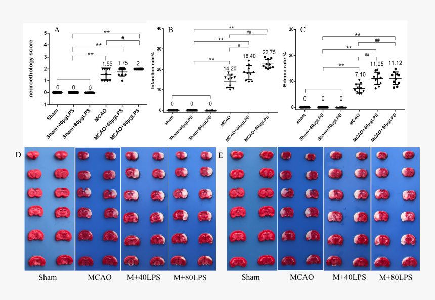 Number, HD Png Download