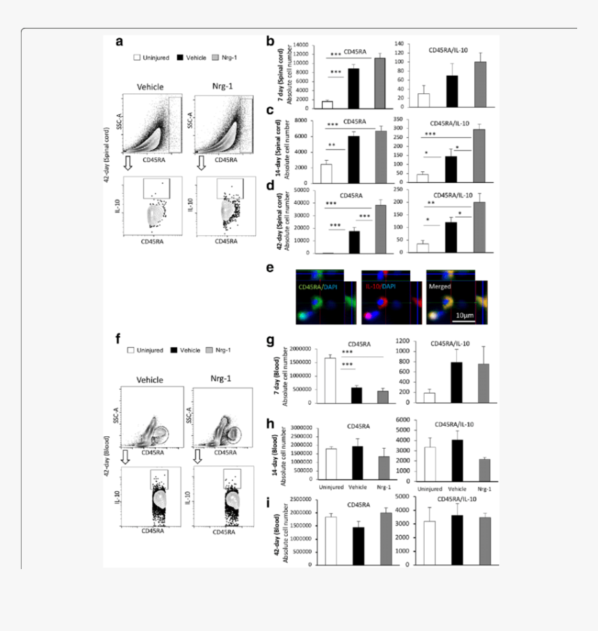 Diagram, HD Png Download