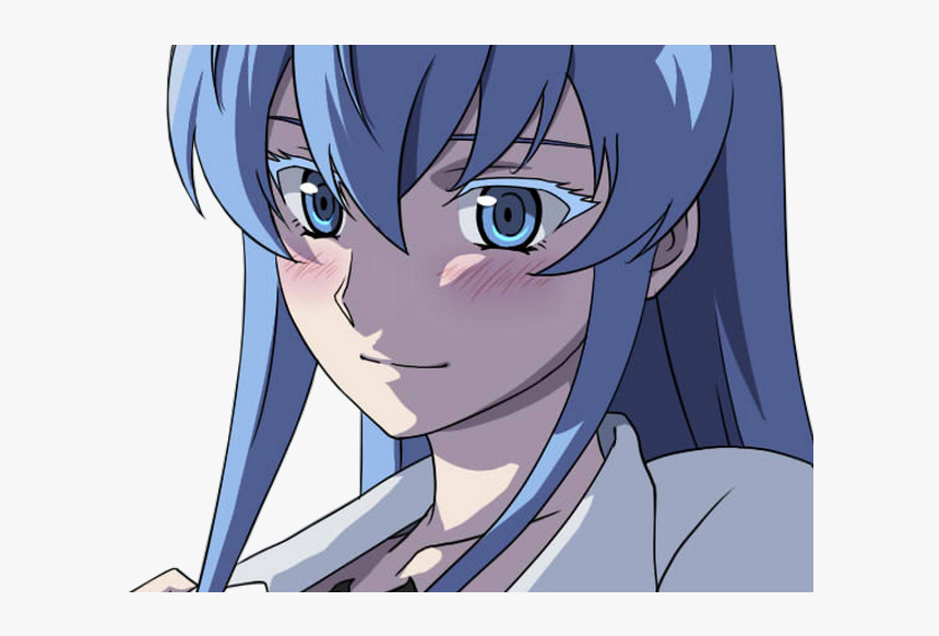 Lien Direct, 2018/02/1/1515403092 Esdeath Amoureuse - Cartoon, HD Png Download