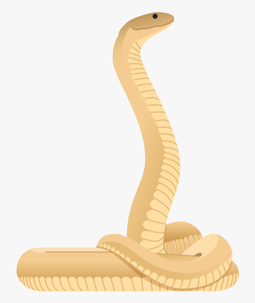 Indian Cobra, HD Png Download