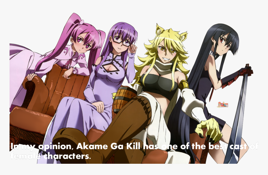 Akame Ga Kill Night Raid Girls, HD Png Download
