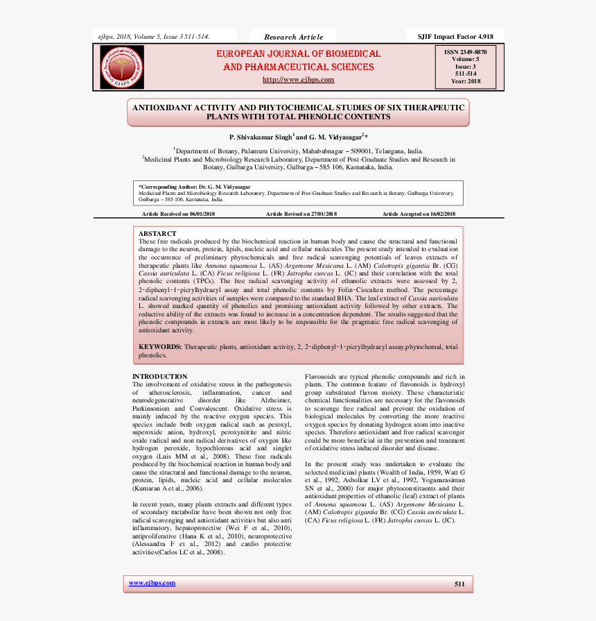 Screenshot, HD Png Download