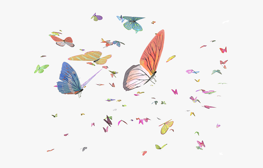 Brush-footed Butterfly, HD Png Download
