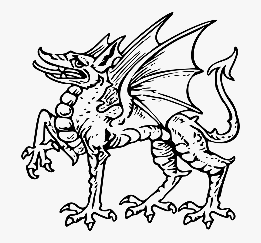 Dragon, HD Png Download