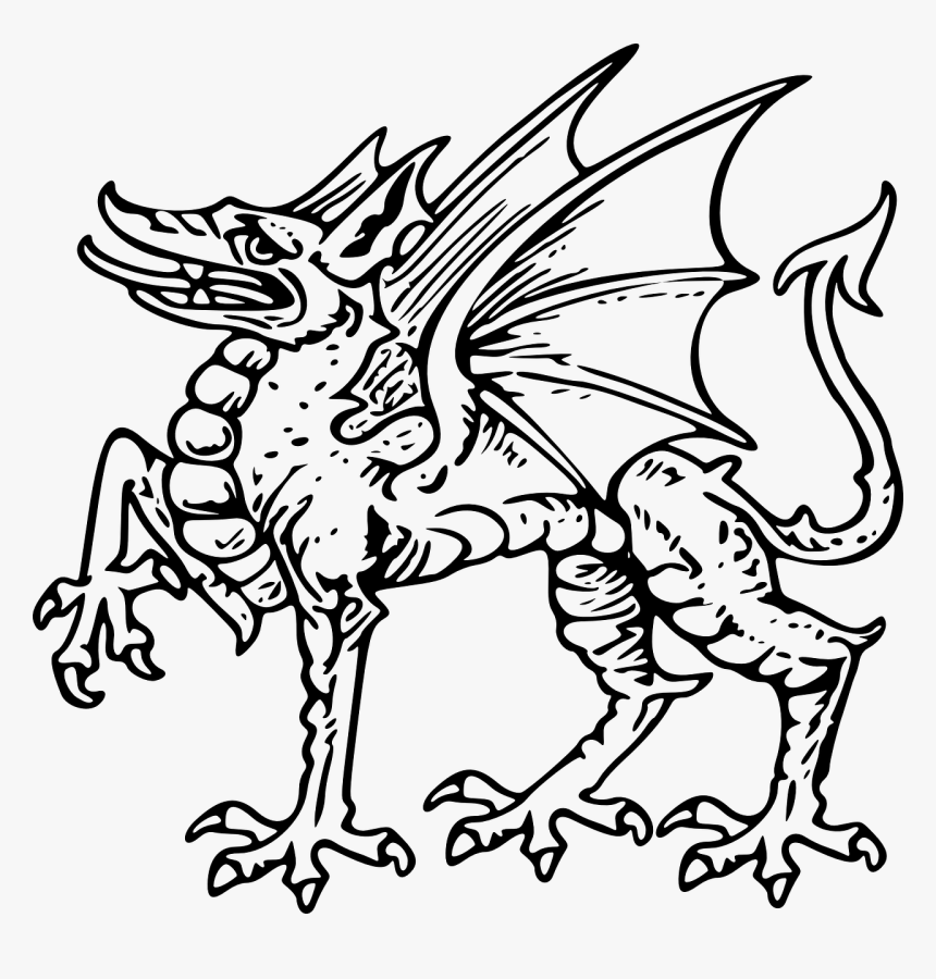 Dragon, HD Png Download