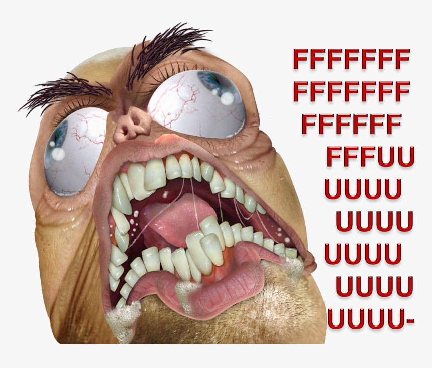 The Real Fuuu, HD Png Download