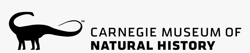 Logo Carnegie Museum Of Natural History - Carnegie Museum Of Natural History Logo, HD Png Download