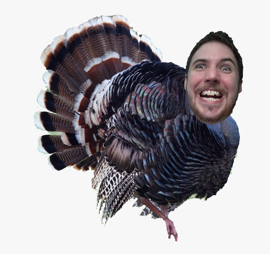 Transparent Wild Turkey Png, Png Download