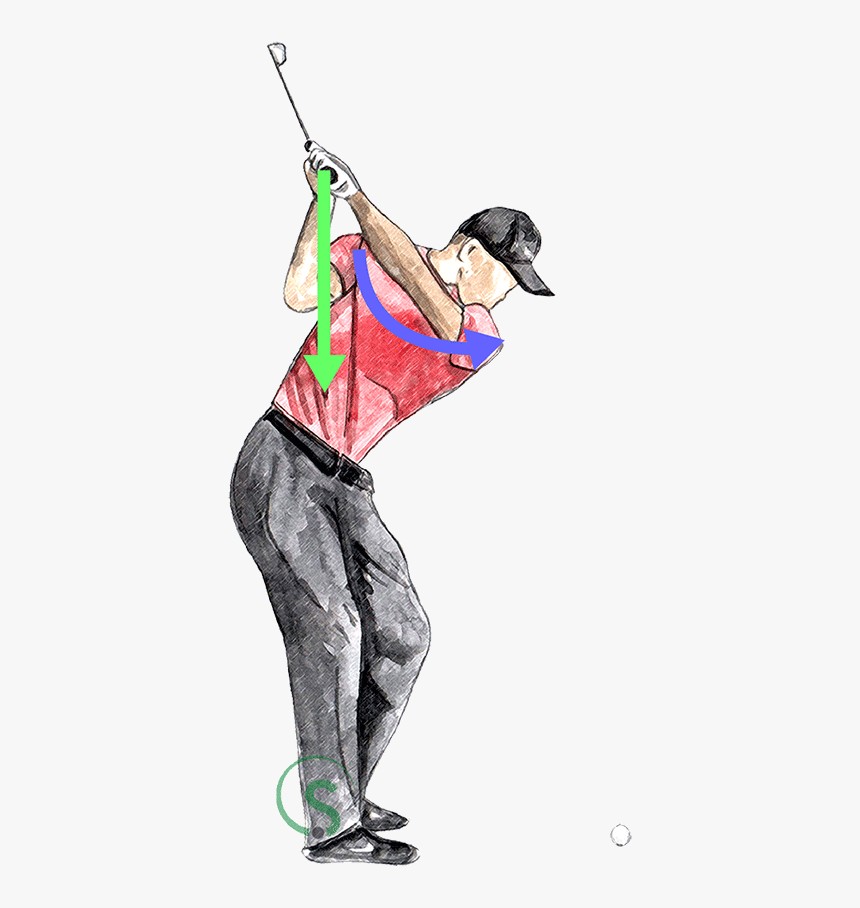 Sketch, HD Png Download