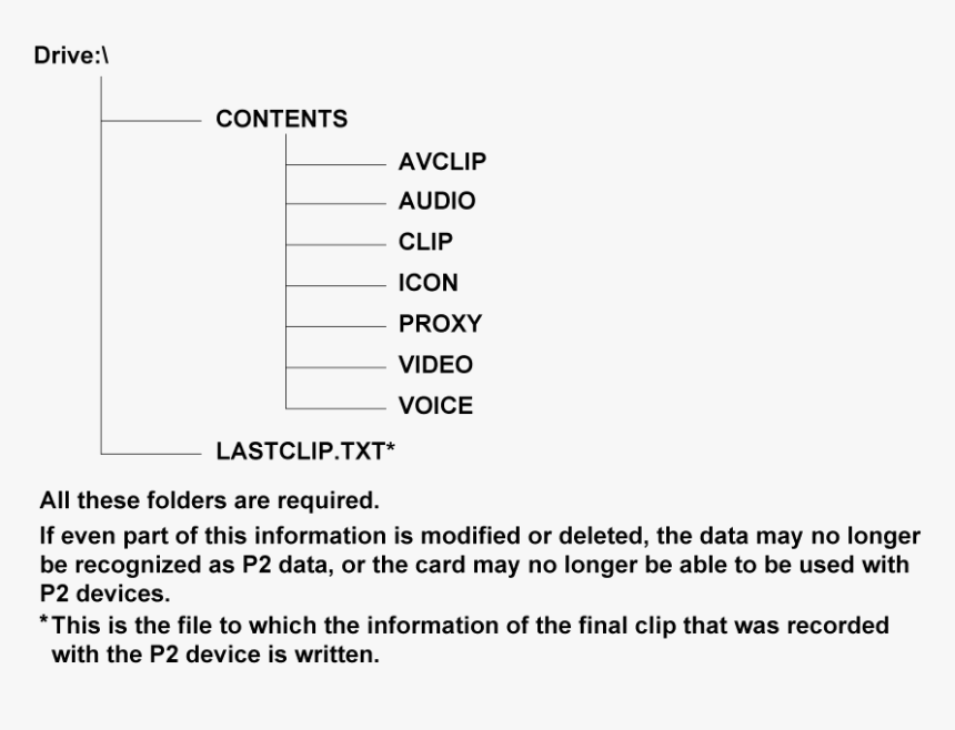 Co Other P2card Directory - Panasonic P2 Card Structure, HD Png Download