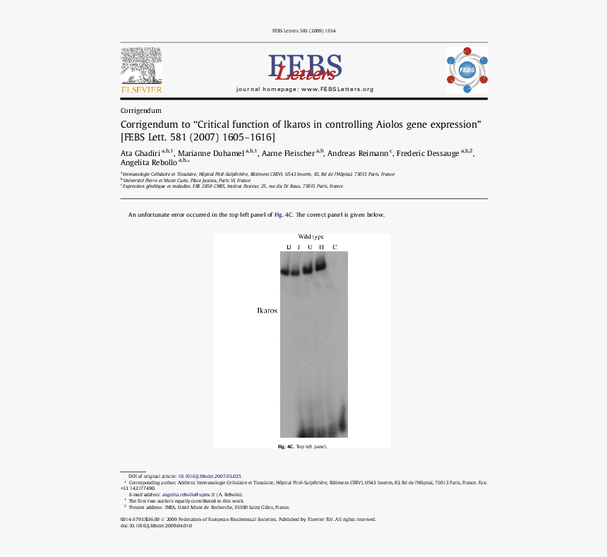 Screenshot, HD Png Download