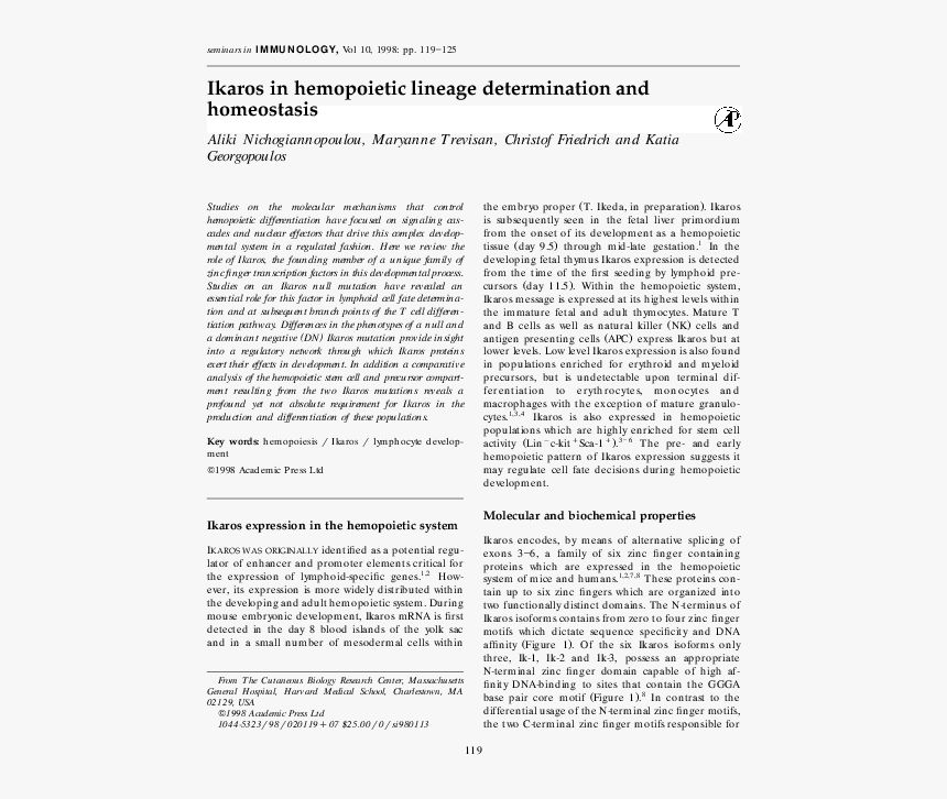 [no Title], HD Png Download