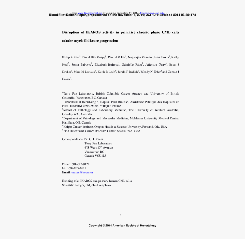 Screenshot, HD Png Download