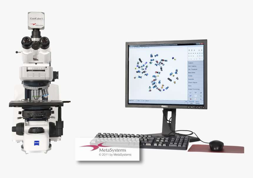 Karyotyping - Computer Monitor, HD Png Download
