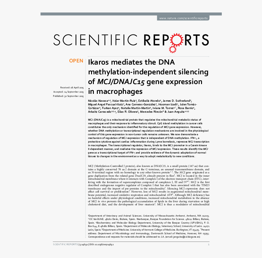 Citrobacter Freundii Adalah Jurnal, HD Png Download