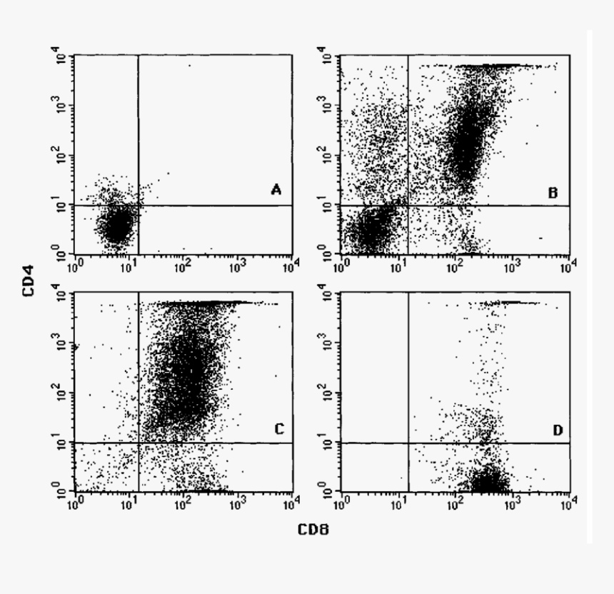 Facs, HD Png Download