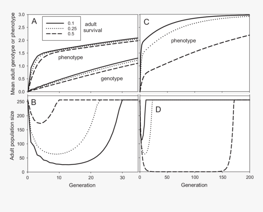Diagram, HD Png Download