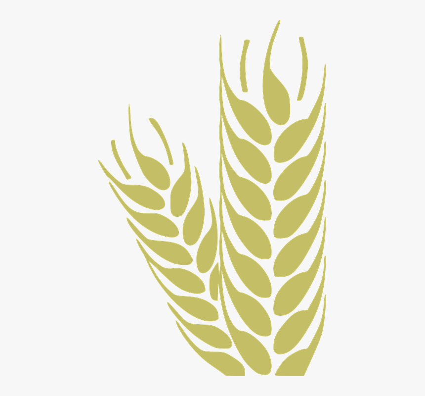 Agriculture Visiting Card Design, HD Png Download