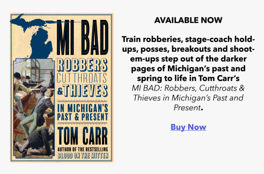 Mi Bad - State Of Michigan, HD Png Download