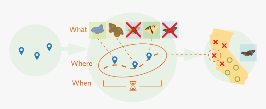 Circle, HD Png Download