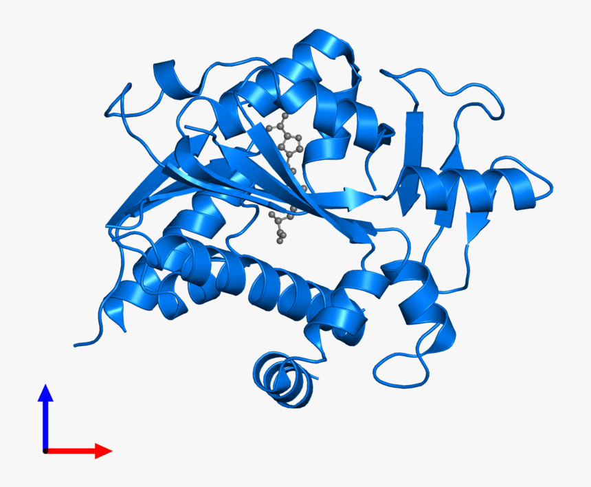 Graphic Design, HD Png Download