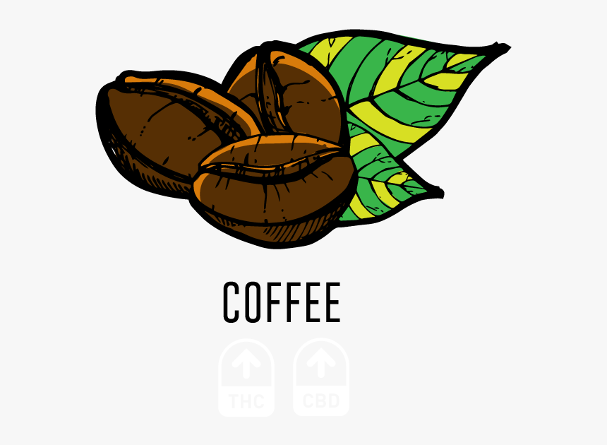 Gaston Rebuffat, HD Png Download