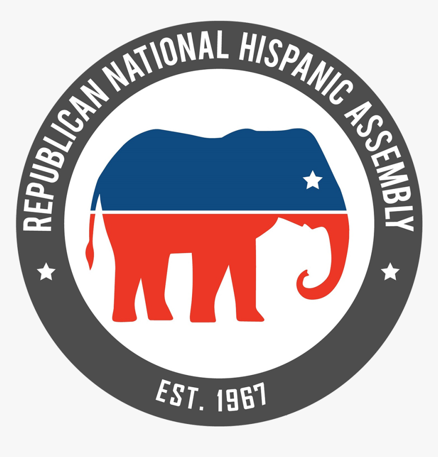 Indian Elephant, HD Png Download