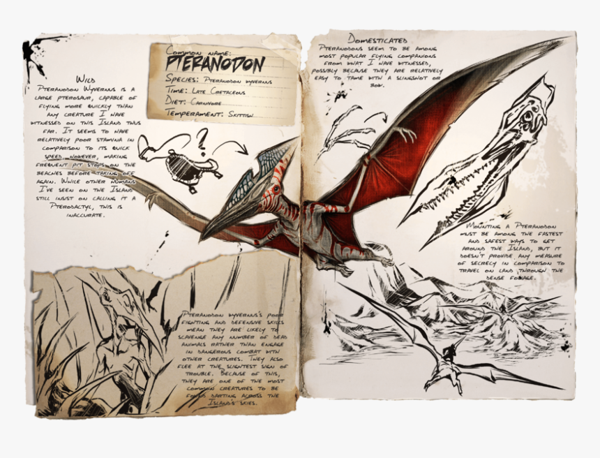 Ark Survival Evolved Pteranodon, HD Png Download