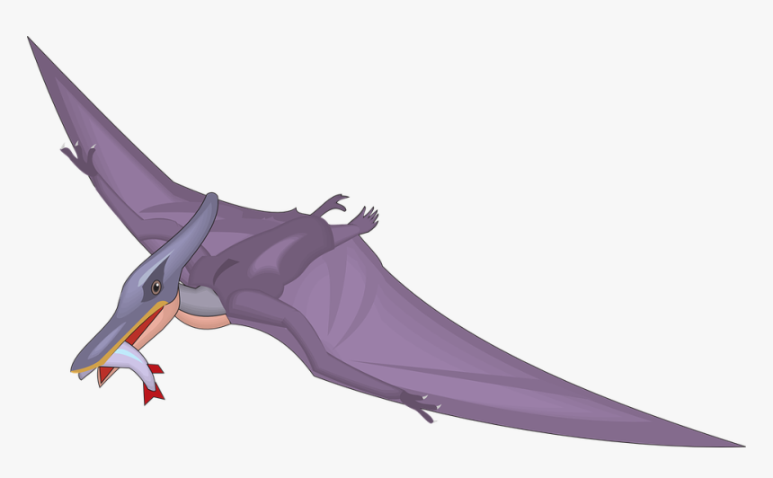 Pteranodon Clipart, HD Png Download