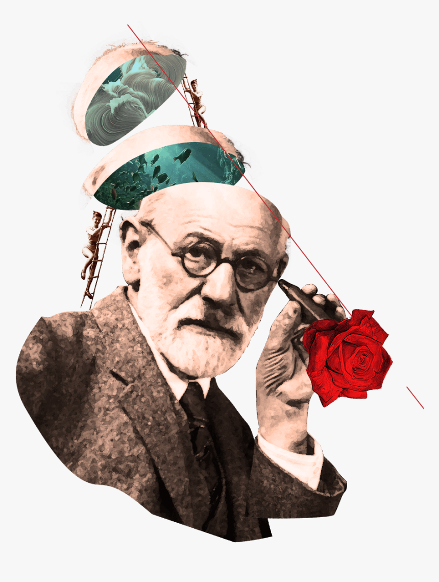 Mobirise - Garden Roses, HD Png Download