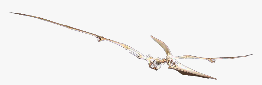 Dagger, HD Png Download