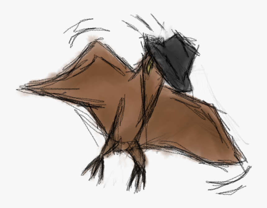 Sketch, HD Png Download