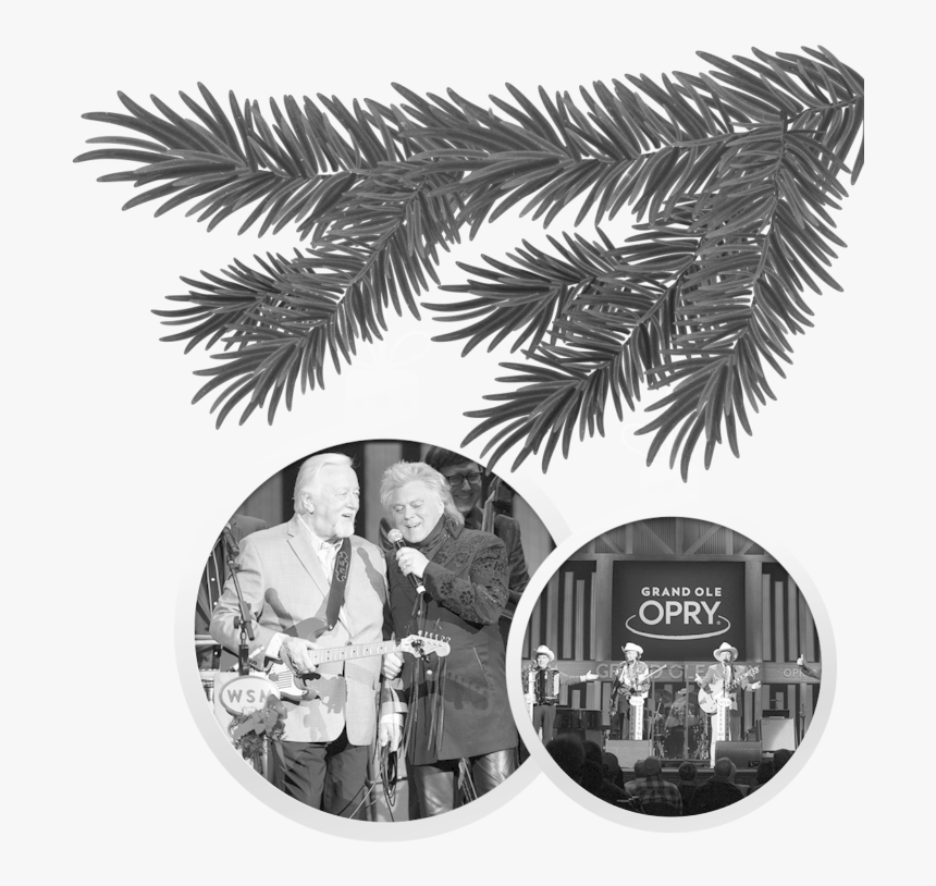 Christmas Black White, HD Png Download