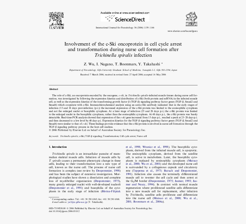 Folio Three From Burchard Of Sion's De Locis Ac Mirabilibus, HD Png Download