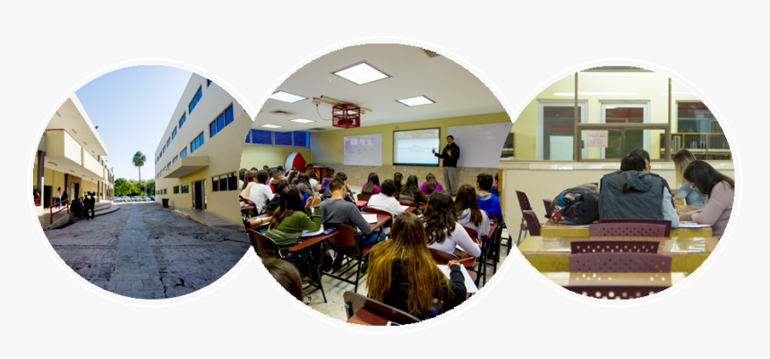 Campo Laboral De Un Contador Publico, HD Png Download