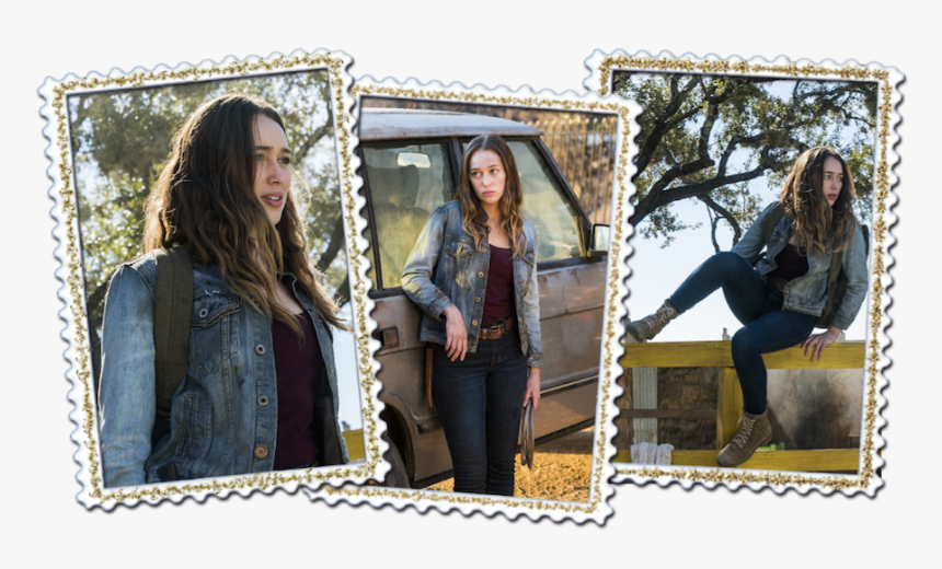 Picture Frame, HD Png Download