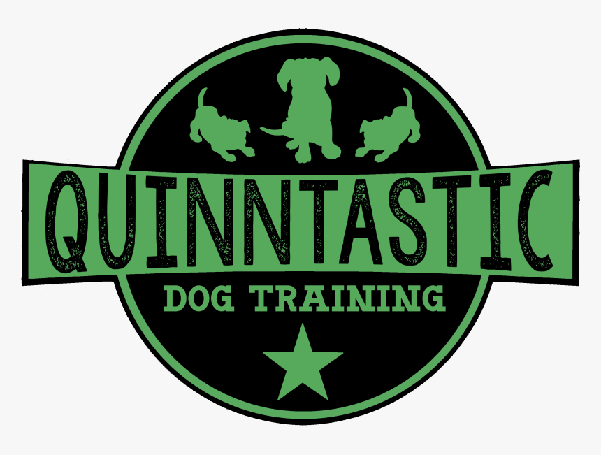Quinntastic Dog Training - Family Home Evening, HD Png Download