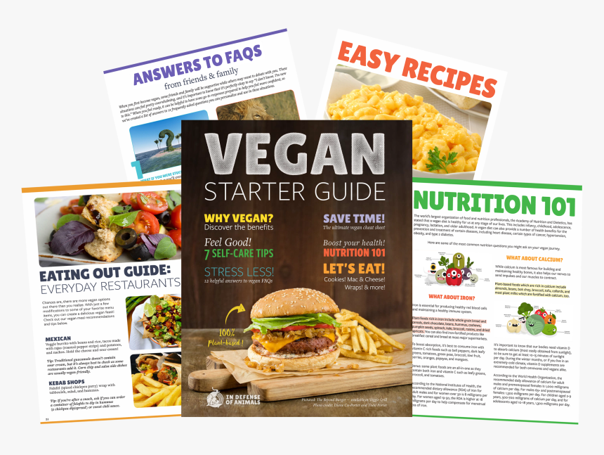 Flyer, HD Png Download