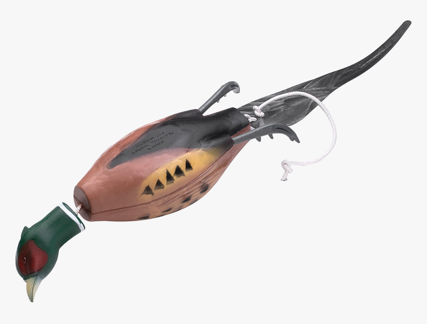 Dokken Dead Fowl Pheasant Training Dummy 
 Title Dokken - Fácán Dummy, HD Png Download