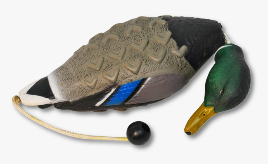 Image Of The Avery Sporting Dog Mallard Training Dummy - Dummy Gråand, HD Png Download
