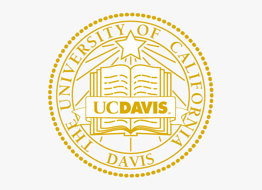 Informal Seal Gold - Graduation, HD Png Download