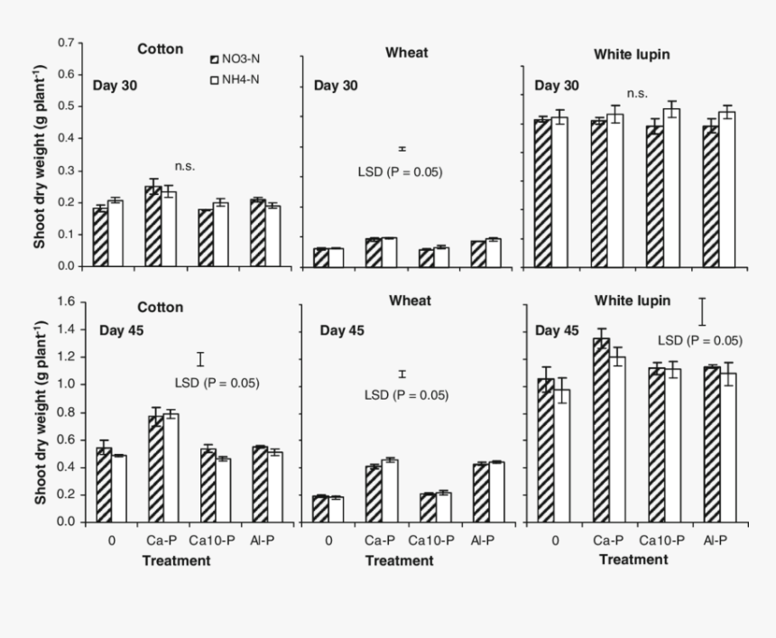 Shoot Dry Weights Of Cotton, Wheat And White Lupin - Heredity, HD Png Download