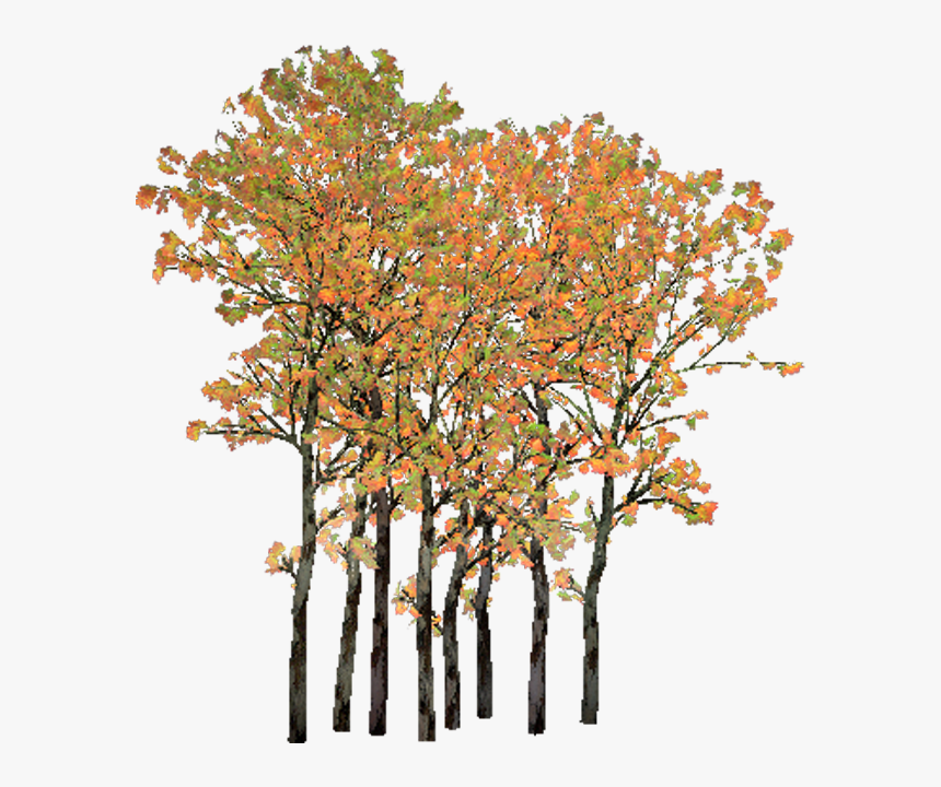 Cluster Png , Png Download - Grove, Transparent Png