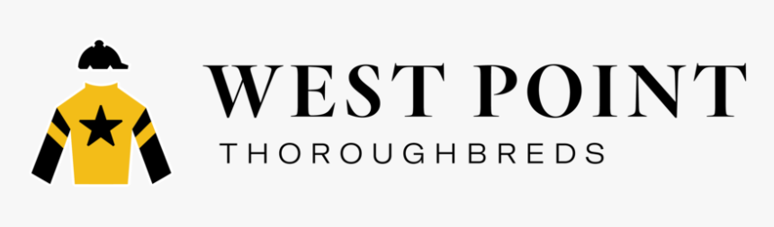 Wpt, HD Png Download