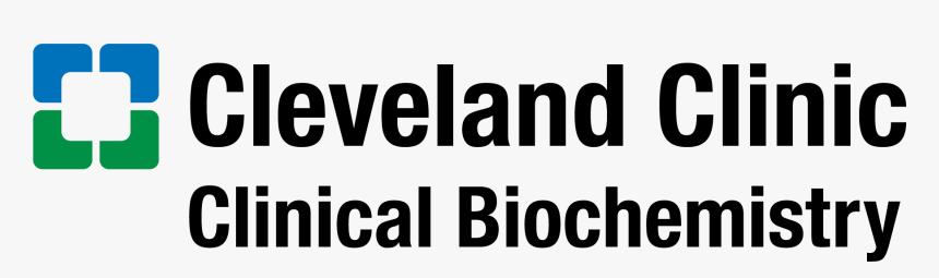 Oval, HD Png Download