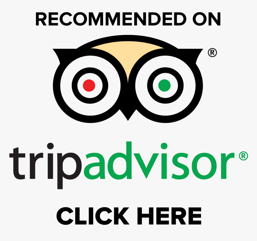 Trip Advisor, HD Png Download