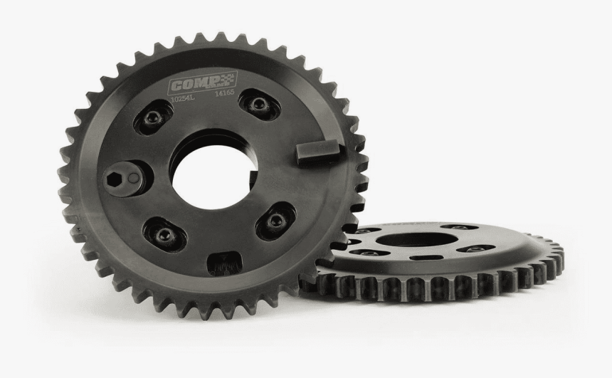 Comp Cams - Buzz Test Myers Briggs Animals Lion, HD Png Download