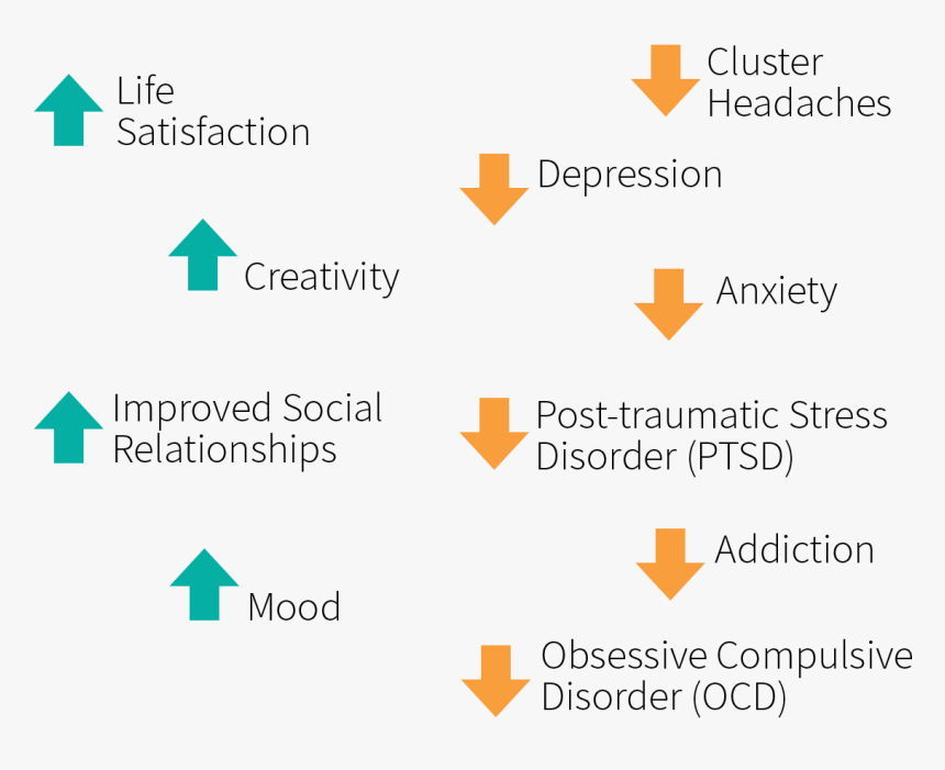 Medical Benefits Of Psychedelic Drugs Related To Mood, - Tan, HD Png Download