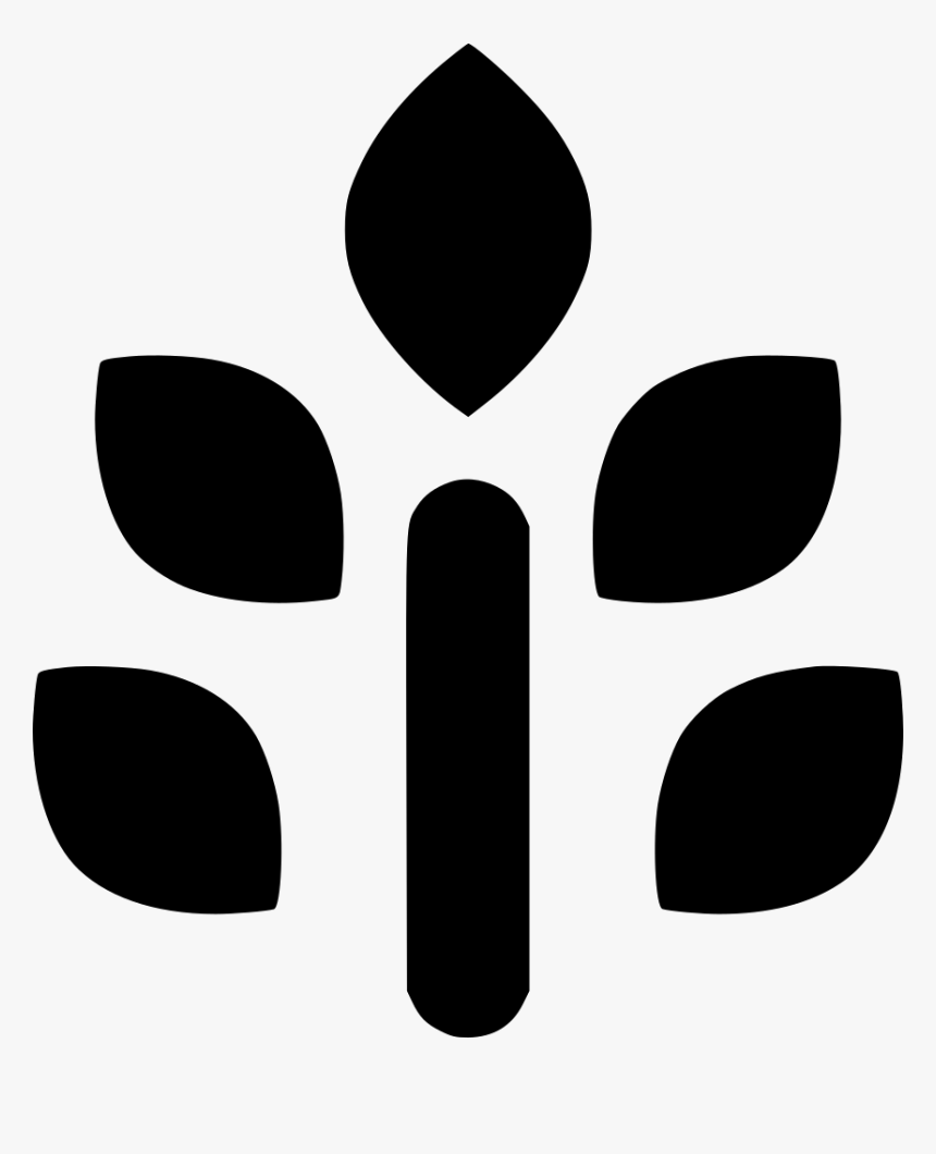 Plant, HD Png Download