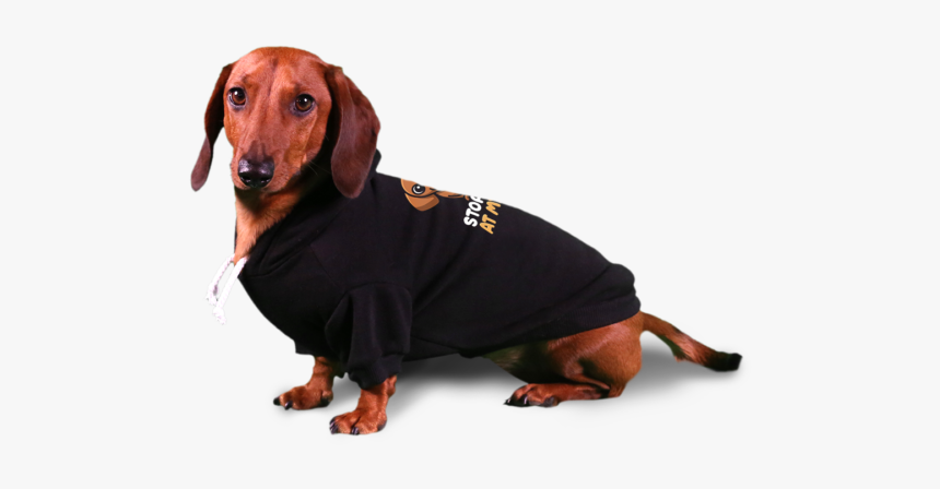Stop Looking At My Weiner Dog Hoodie - Dachshund, HD Png Download